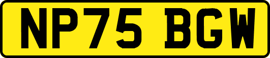 NP75BGW