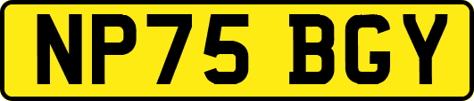 NP75BGY