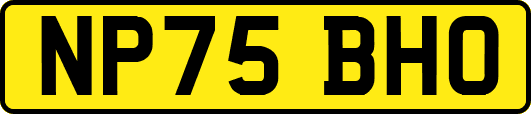 NP75BHO