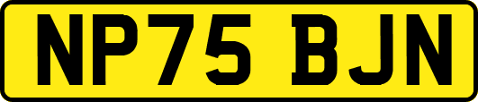 NP75BJN