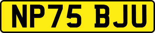 NP75BJU