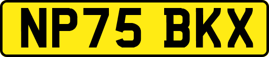 NP75BKX