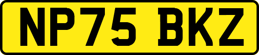 NP75BKZ