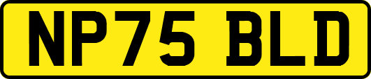 NP75BLD