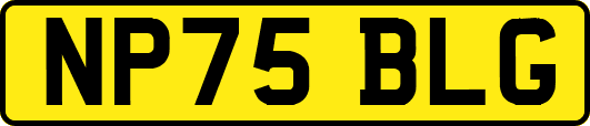NP75BLG