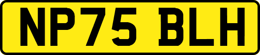 NP75BLH