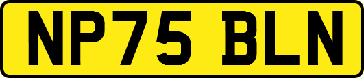 NP75BLN