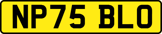 NP75BLO