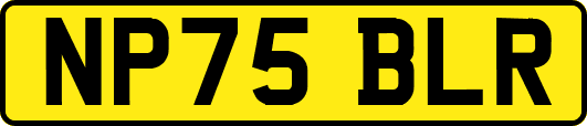 NP75BLR