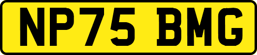 NP75BMG
