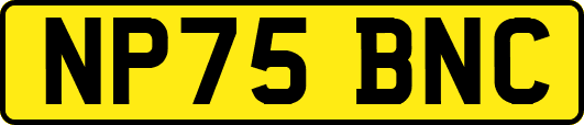 NP75BNC