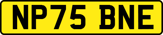 NP75BNE