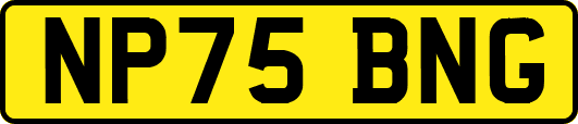 NP75BNG