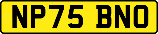 NP75BNO