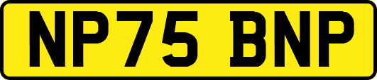 NP75BNP