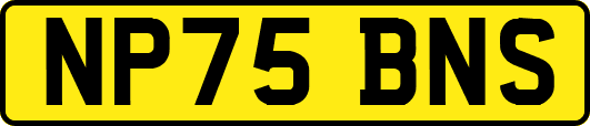 NP75BNS