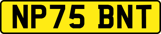 NP75BNT