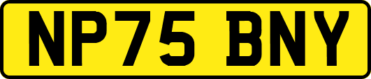 NP75BNY
