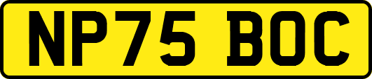 NP75BOC