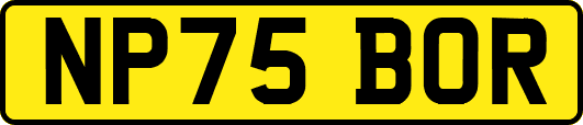 NP75BOR