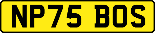 NP75BOS