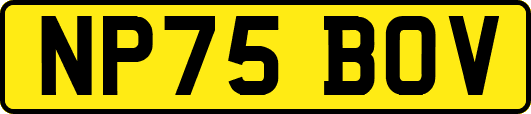 NP75BOV