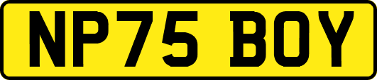 NP75BOY