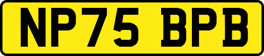 NP75BPB