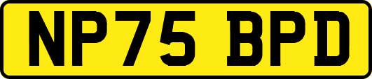 NP75BPD