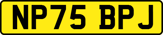 NP75BPJ
