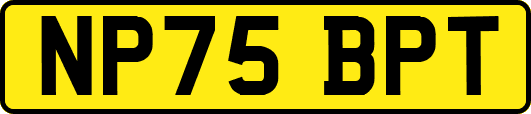 NP75BPT