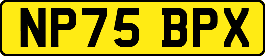 NP75BPX