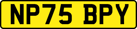 NP75BPY