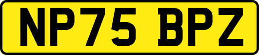 NP75BPZ