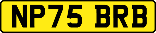 NP75BRB