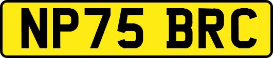 NP75BRC