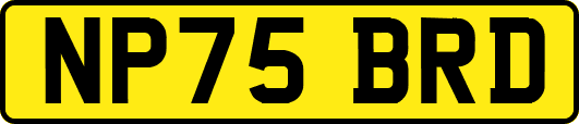 NP75BRD