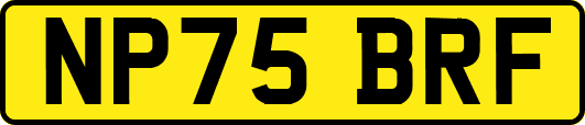 NP75BRF