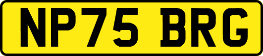NP75BRG