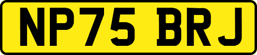 NP75BRJ