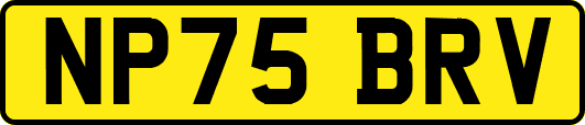 NP75BRV