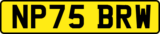 NP75BRW