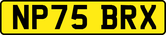 NP75BRX
