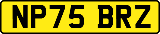 NP75BRZ