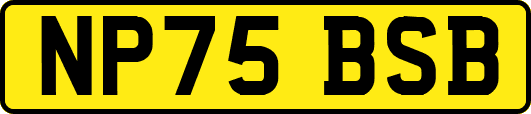 NP75BSB