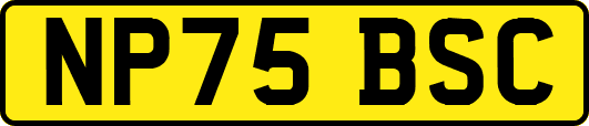NP75BSC
