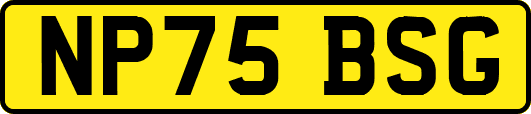 NP75BSG