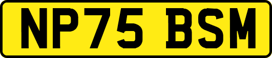 NP75BSM