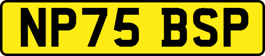NP75BSP