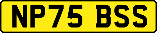 NP75BSS